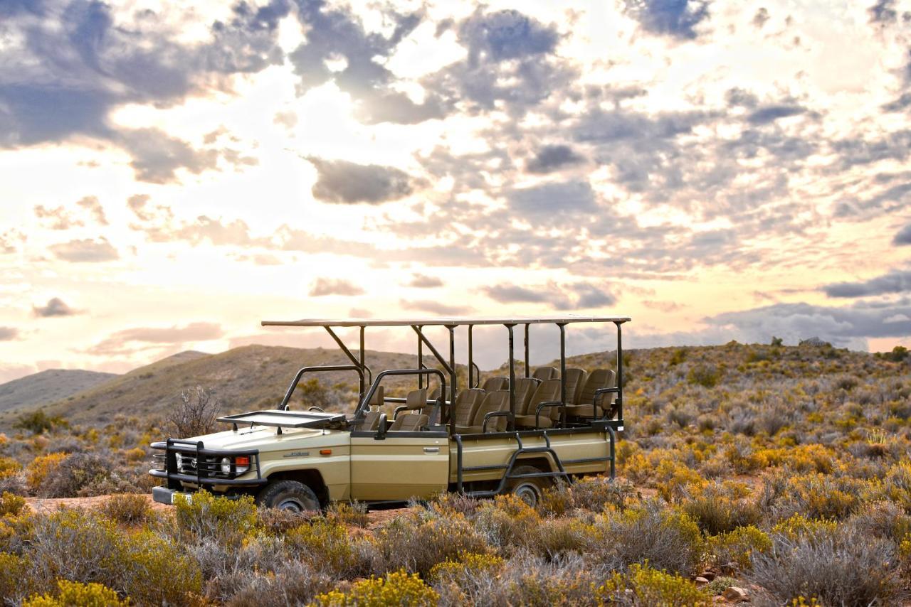Mont Eco Game Reserve Montagu Exterior photo